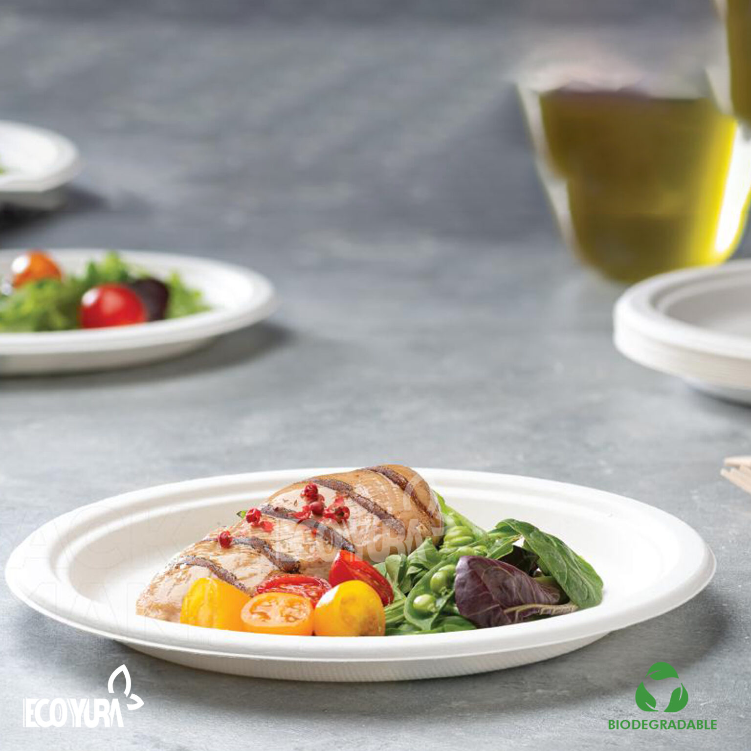 Plato Biodegradable EY-P26 | 26 cm